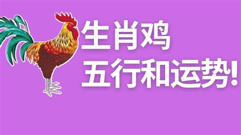 雞屬五行|属鸡在金木水火土五行里属什么